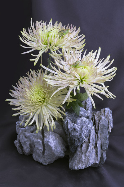 Laurence Kubski - © Villa Noailles Hyères